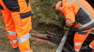 Gare de l'Est: retour progressif &agrave; la normale pour la circulation des trains