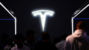 Tesla in Gr&uuml;nheide erh&ouml;ht L&ouml;hne um vier Prozent