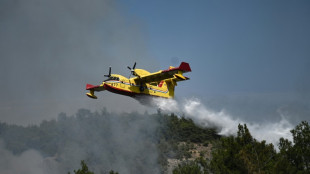 Gr&egrave;ce: l'incendie dans le parc national de Dadia toujours "hors de contr&ocirc;le"
