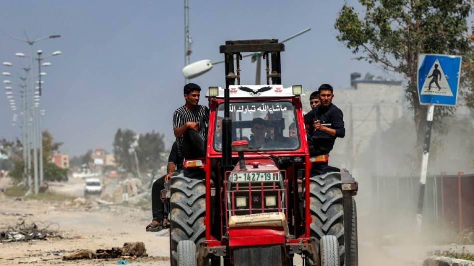 El sector agr&iacute;cola de Gaza, arrasado por la guerra