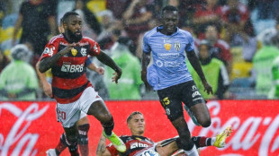 Flamengo stars Varela, Gerson trade blows at practice