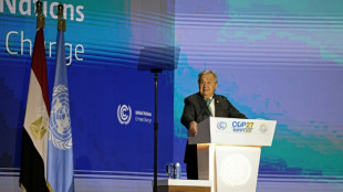 Guterres prangert "toxisches" Greenwashing an 