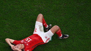 Wales boss Page urges team to learn from World Cup heartache