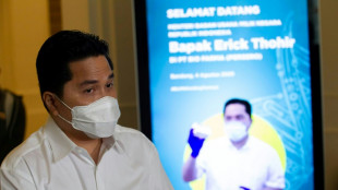Ex-Inter Milan owner named head of Indonesian FA 