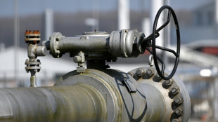 CSU-Landesgruppe fordert Gaspreisdeckel f&uuml;r 75 Prozent des Privatverbrauchs
