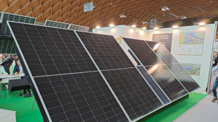 Scornajenchi, 'negare i limiti delle rinnovabili va oltre ragionevolezza'