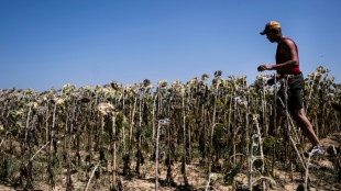 L'ONU appelle le monde &agrave; faire face &agrave; la "r&eacute;alit&eacute;" d'un d&eacute;passement du r&eacute;chauffement au-del&agrave; de 1,5&deg;C