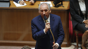 Cade il governo Bayrou,Assemblée Nationale nega la fiducia