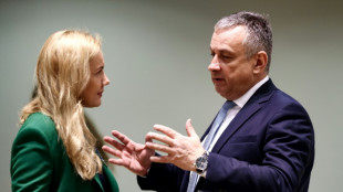 EU-Energieminister grunds&auml;tzlich einig &uuml;ber weitere Ma&szlig;nahmen gegen hohe Energiepreise