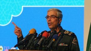Sanktionierter General im Iran schl&auml;gt EU Kauf von Heizkohle mit seinem Verm&ouml;gen vor