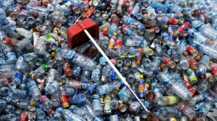 Verpackungsm&uuml;ll: EU-Parlament f&uuml;r Verbot von Einweg-Plastik in Gastronomie