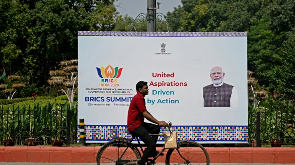 Poutine en Inde pour le sommet des Brics, au r&eacute;v&eacute;lateur des conflits de la plan&egrave;te