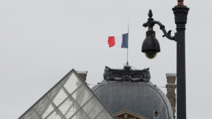 Louvre director admits 'insufficient' camera coverage after heist