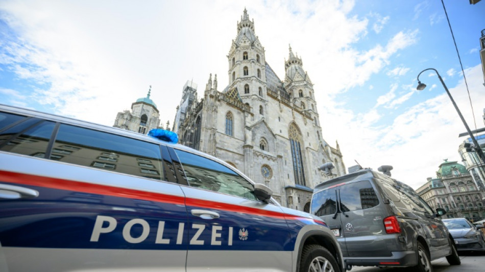 Autriche: trois islamistes pr&eacute;sum&eacute;s arr&ecirc;t&eacute;s, s&eacute;curit&eacute; renforc&eacute;e pour No&euml;l