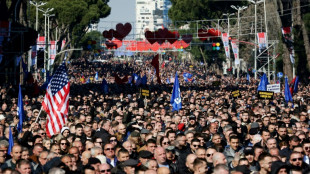 Albanie: manifestation de l'opposition pour r&eacute;clamer la d&eacute;mission du Premier ministre