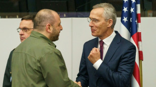 El jefe de la OTAN conf&iacute;a en que Francia siga siendo un "aliado firme", sea cual sea el pr&oacute;ximo gobierno