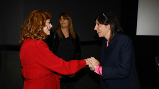 Sarandon incontra Schlein e parlano della Palestina
