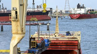 El puerto de Houston se activa con env&iacute;os de insumos petroleros a Venezuela