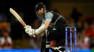 Williamson wants to hit top gear with T20 World Cup semi-final in sight