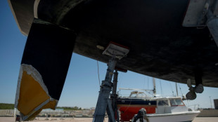 Scientists puzzled by killer whale boat attacks off Spain