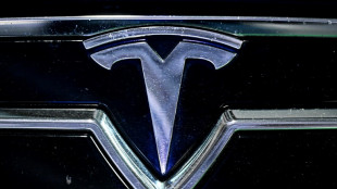 Dozen Teslas torched outside French dealership: authorities