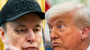 Trump y Musk consuman su divorcio en público