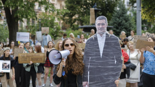 Fedorov chiede elezioni in Ucraina, 'democrazia non sia ostaggio della Russia'