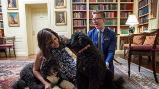 &Egrave; morta Sunny, il secondo cane degli Obama dopo Bo