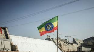 Entre l'Ethiopie et l'Egypte, le mégabarrage de la discorde