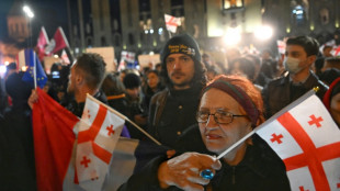 Proteste in Georgien gegen Regierung gehen weiter