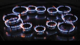 In calo l'indice italiano del gas