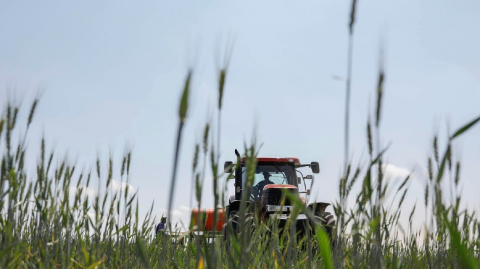 Schonendere Verfahren l&ouml;sen klassischen Pflug in der Landwirtschaft zunehmend ab