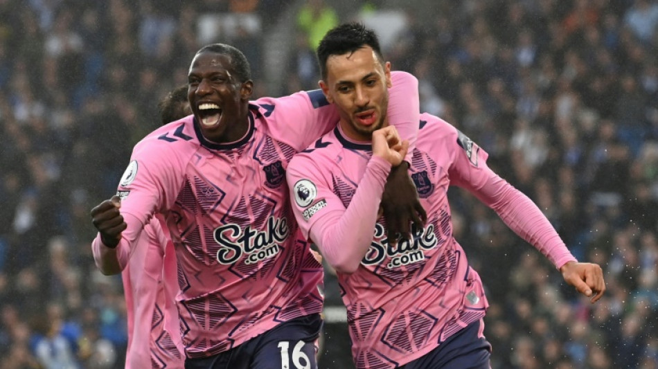 Everton stun Brighton to move out of relegation zone, Fulham hit Leicester for five