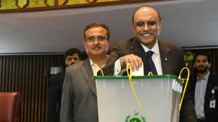 Asif Ali Zardari elegido presidente por segunda vez en Pakist&aacute;n