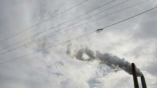 El mundo debe cuadruplicar la eliminaci&oacute;n de CO2 para 2050, dice un informe