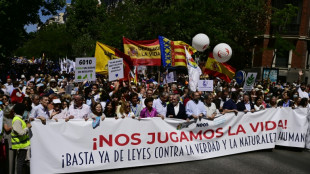 El Tribunal Constitucional espa&ntilde;ol rechaza el recurso de la derecha contra el aborto