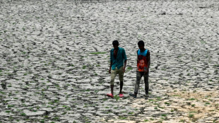 Canicules: des régions entières vont devenir invivables au cours des prochaines décennies