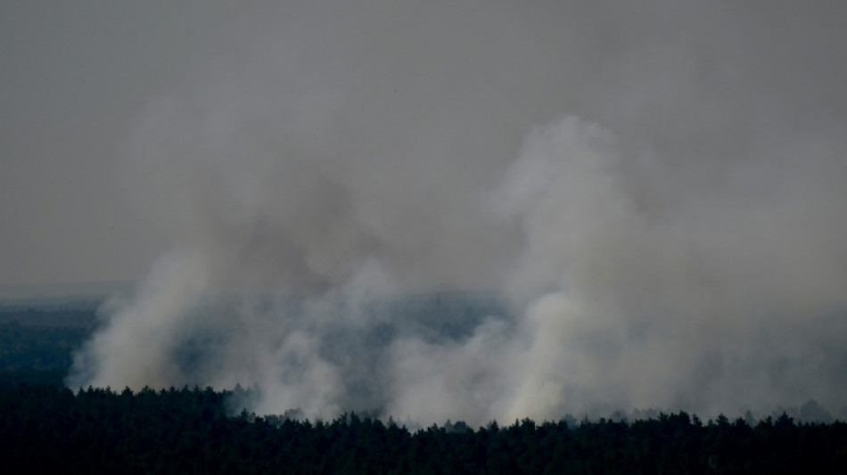 Feuerwehr beginnt mit L&ouml;schen von Gro&szlig;brand in Berliner Grunewald 