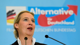 Weidel pocht auf EU-Reform - AfD will Parlament und Kommission entmachten