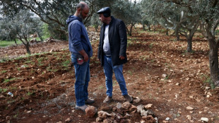 Espiral de violencia de colonos israel&iacute;es en Cisjordania en plena guerra en Ir&aacute;n