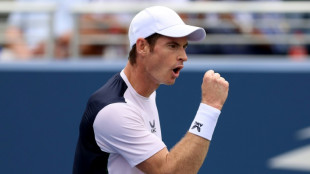 Botched VAR no problem as Murray advances at US Open 