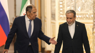 El canciller iran&iacute; afirma que su pa&iacute;s y Rusia "nunca" trabajaron tan de cerca