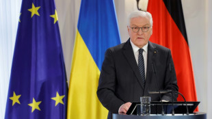 Steinmeier ruft zu lang anhaltender Unterst&uuml;tzung der Ukraine auf