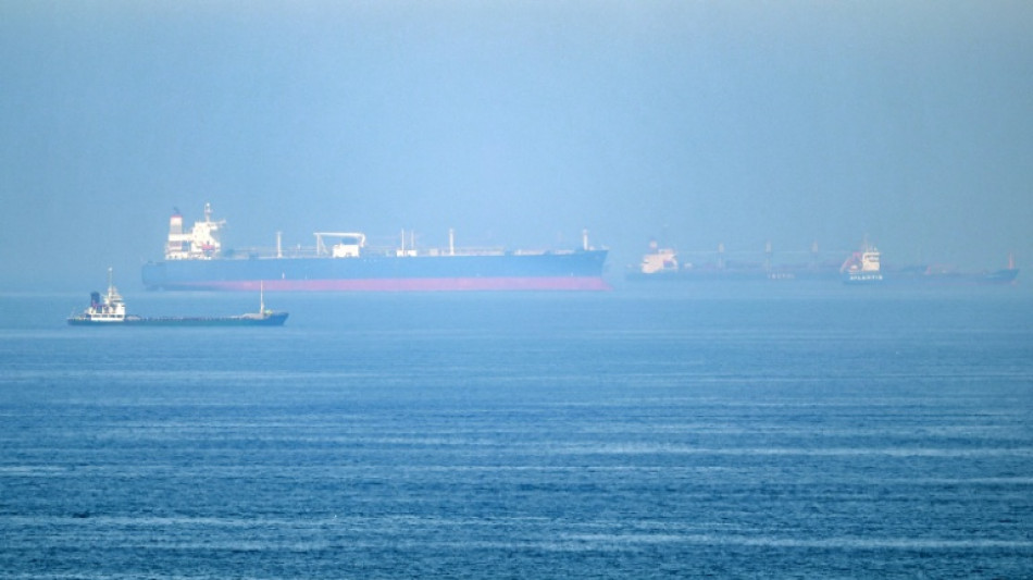 Ormuz : trafic maritime record lundi depuis le d&eacute;but de la guerre