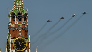 Suecia afirma que un avi&oacute;n de combate ruso viol&oacute; su espacio a&eacute;reo