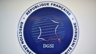 France probes 'foreign interference' after malware found on ferry