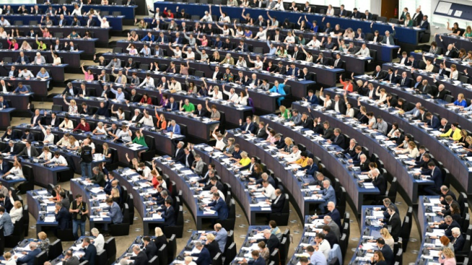 Secret des sources, pluralisme: les eurod&eacute;put&eacute;s s'emparent de la loi sur la libert&eacute; des m&eacute;dias