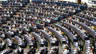 Secret des sources, pluralisme: les eurod&eacute;put&eacute;s s'emparent de la loi sur la libert&eacute; des m&eacute;dias