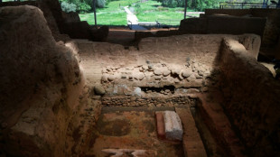 Espa&ntilde;a, en busca de la civilizaci&oacute;n perdida de Tartesia