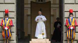 Il Papa, 'ci sia consolazione in Terra Santa, Ucraina e Russia'